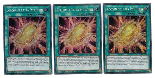 Cocoon ultra evolution - cocoon,